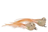 DECO SHINE BIRD CLIP COZY CHAMPAGNE 16CM P/2