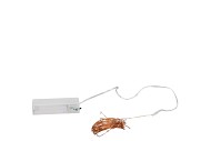 LED SHINE LIGHT CHAIN 40LED TIMER EX BATTERY 195+10CM COPPER