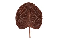 PICK SHINE FAN SCOTTISH COPPER 66CM NM