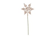 PICK SHINE SNOWFLAKE COZY CHAMPAGNE 25CM P/24 NM