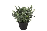 SILK EUCALYPTUS GREEN IN POT M 23X23X28CM NM