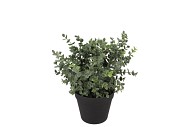 SILK EUCALYPTUS GREEN IN POT S 18X18X19CM NM