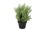 SILK CYPRESS GREEN IN POT L 33X33X48CM NM