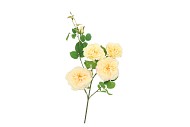 SILK WILD ROSE YELLOW SINGLE STEM 116CM NM