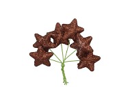 PICK SHINE STAR SCOTTISH COPPER 4X7CM P/96