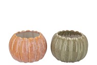 METTE ORANGE GREEN POT PUMPKIN ASS 20X20X14CM