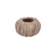 CONCRETE GOLDEN POT PUMPKIN 8X8X5CM