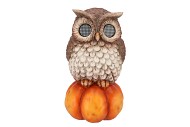 YULE OWL W LED LIGHT 18X18X32CM