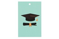 GIFT BOUQUET CARD GRADUATED MINT 6X9CM P/25