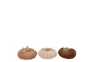 LAUREN BROWN PUMPKIN DECO ASS 13X8CM