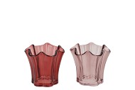 JAZZ PINK T-LIGHT GLASS  ASS 10X9CM