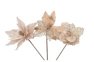 SILK POINSETTIA CHAMPAGNE ASS 27CM