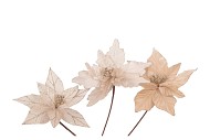 SILK POINSETTIA CHAMPAGNE ASS 24CM