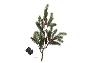 SILK PINE WITH LED 81X33X13CM