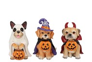 WONDERLAND ORANGE HALLOWEEN DOG ASS 8X10X13CM