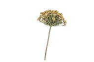 SILK OLD HERACLEUM KHAKI SINGLE STEM 56CM