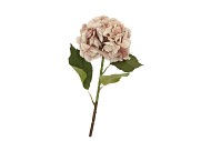 SILK OLD HYDRANGEA LIGHT BROWN SINGLE STEM 70CM