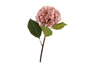 SILK OLD HYDRANGEA PINK SINGLE STEM 70CM