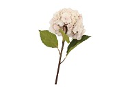 SILK OLD HYDRANGEA CREAM SINGLE STEM 70CM