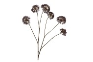 SILK OLD SCALLION BALLS FLOWER BROWN 119CM