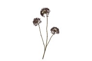 SILK OLD SCALLION BALLS FLOWER BROWN 77CM