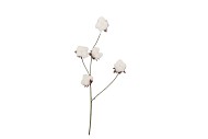 SILK OLD COTTON FLOWER WHITE STEM 83CM