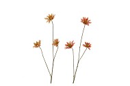 SILK OLD ASTERACEAE BEIGE BROWN STEM 81CM