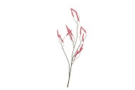 SILK OLD BRISTLEGRASS PINK STEM 90CM