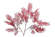 SILK OLD MIMOSA PUDICA RED SINGLE STEM 100CM