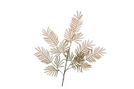 SILK OLD MIMOSA PUDICA GREEN SINGLE STEM 90CM