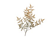 SILK OLD NANDINA GREEN SINGLE STEM 90CM