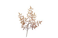 SILK OLD NANDINA YELLOW SINGLE STEM 90CM