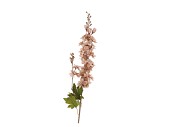 SILK OLD DELPHINIUM LIGHT BROWN SINGLE STEM 86CM