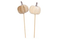 PICK JOYFUL SAND PUMPKIN VELVET ASS 50CM P/1