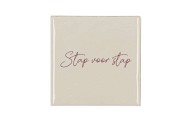 TILE STAP VOOR STAP SAND 10X10X1CM