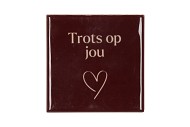 TILE TROTS OP JOU BROWN 10X10X1CM