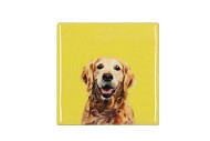 TILE DOG YELLOW 10X10X1CM