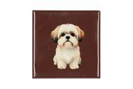 TILE DOG BROWN 10X10X1CM