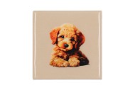 TILE DOG SAND 10X10X1CM