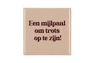 TILE EEN MIJLPAAL OM TROTS SAND 10X10X1CM