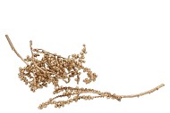 PICK NATURE CANELLA GOLD P/25