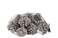 NATURE PINUS PINEA STONE WASHED WHITE P/12