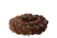 WREATH TREEMOSS/SILVER FIR NATUAL 35CM