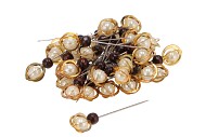 PEARL PINS GOLD COMBI SET OF 36