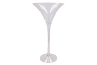 GLAS MARTINI OP VOET 25X50CM