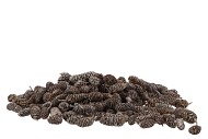 NATURE PIGNE MINI FROSTE PAR 300 GRAMMES