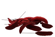 PICK ESTRELLA ROOD OP DRAAD PER 50 STUKS