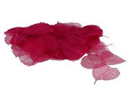 FEUILLES SQUELETTE FUCHSIA PAR 200 PIÈCES