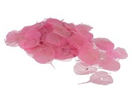 SKELETON LEAVES ROZE PER 200 STUKS