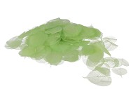 SKELETON LEAVES MISTY GRN P/200